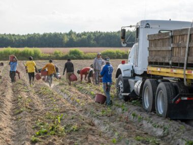 Farm Worker Jobs in USA with Visa Sponsorship