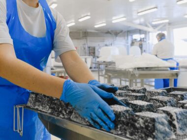 France Jobs with Visa Sponsorship
