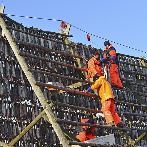 Construction Jobs UK Visa Sponsorship