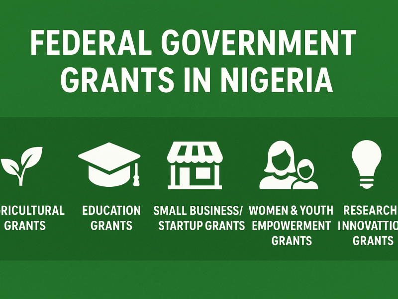 Federal Government Grants in Nigeria